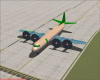 on the ground