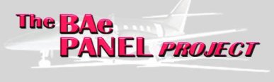 BAE Panel Project