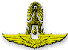 Royal Thai Air Force
