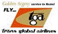 Trans Global Airlines