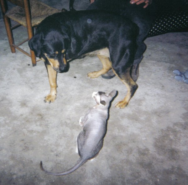 Image
