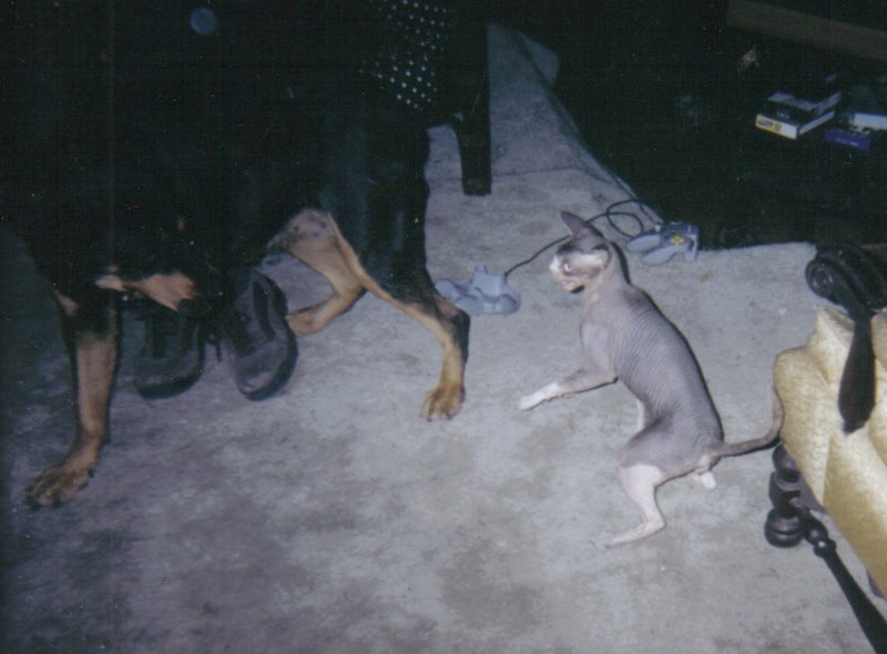 Image